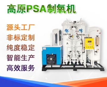 PSA PSA oxygen generator 4500m above sea level plateau oxygen generator breathing and air storage tank indoor oxygenation