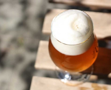 The most important yeast nutrient in beer brewing， nitrogen